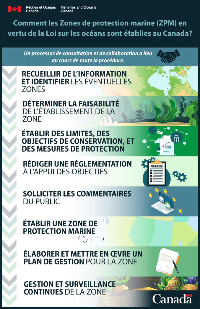 Infographie : Comment les Zones de protection marine (ZPM) en vertu de la Loi sur les océans sont établies au Canada?