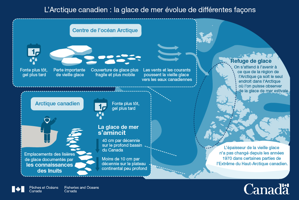 4.	L'Arctique canadien : La glace de mer évolue de différentes façons
