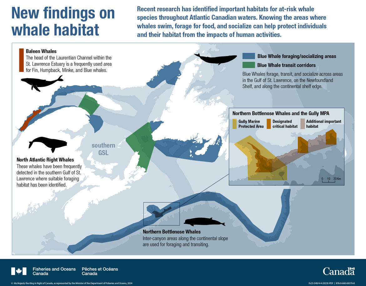 Canada’s Oceans Now, Atlantic Ecosystems 2022 - Where whales travel in Atlantic Canada