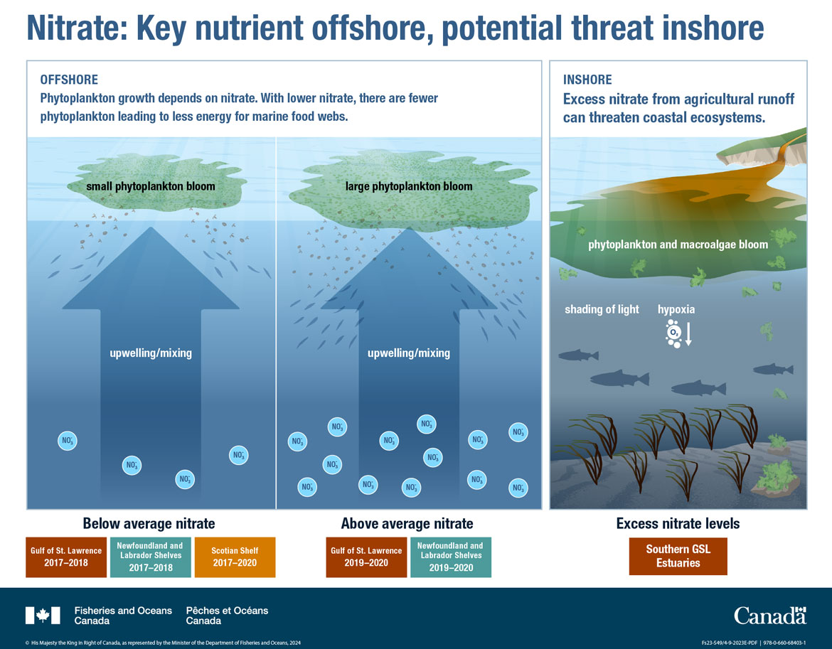 Canada’s Oceans Now, Atlantic Ecosystems 2022 - Nitrate: key nutrient offshore, potential threat inshore