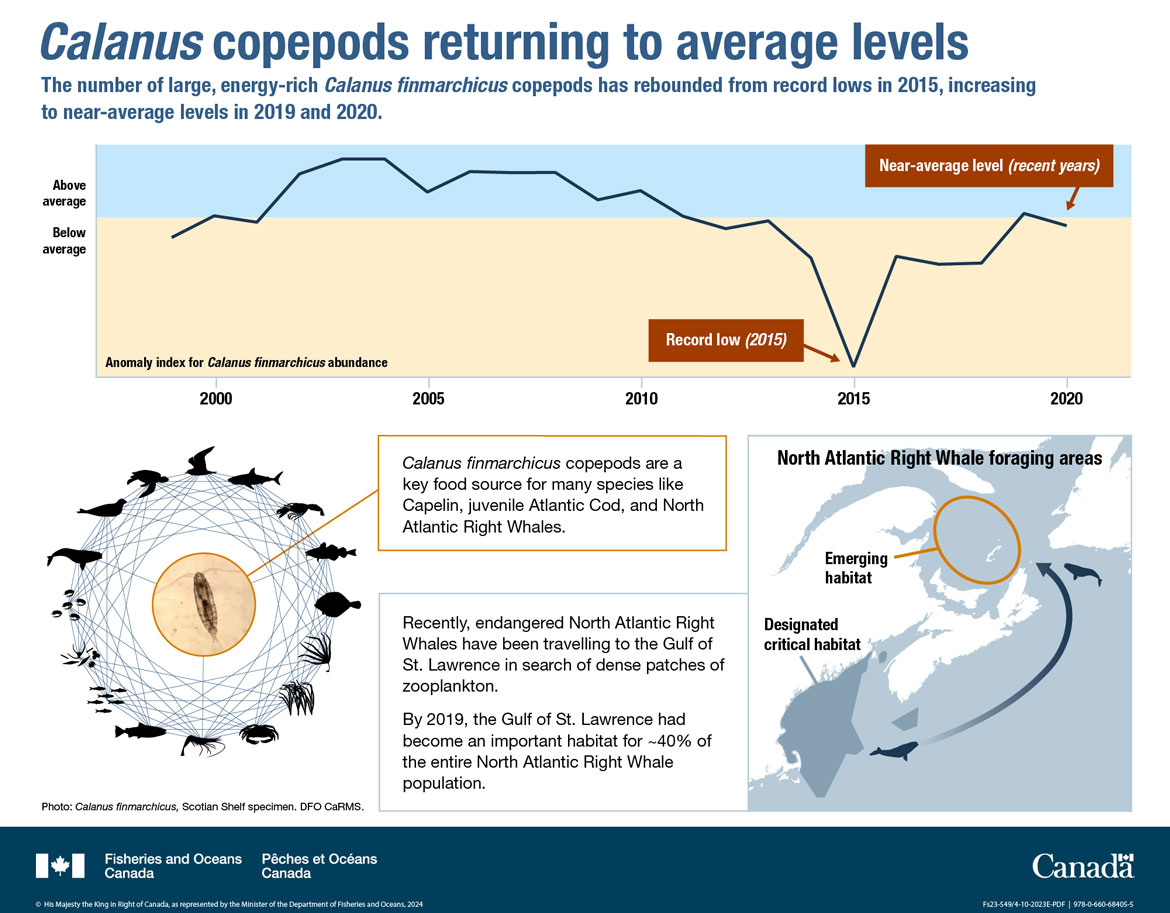 Canada’s Oceans Now, Atlantic Ecosystems 2022 - Calanus copepods returning to average levels