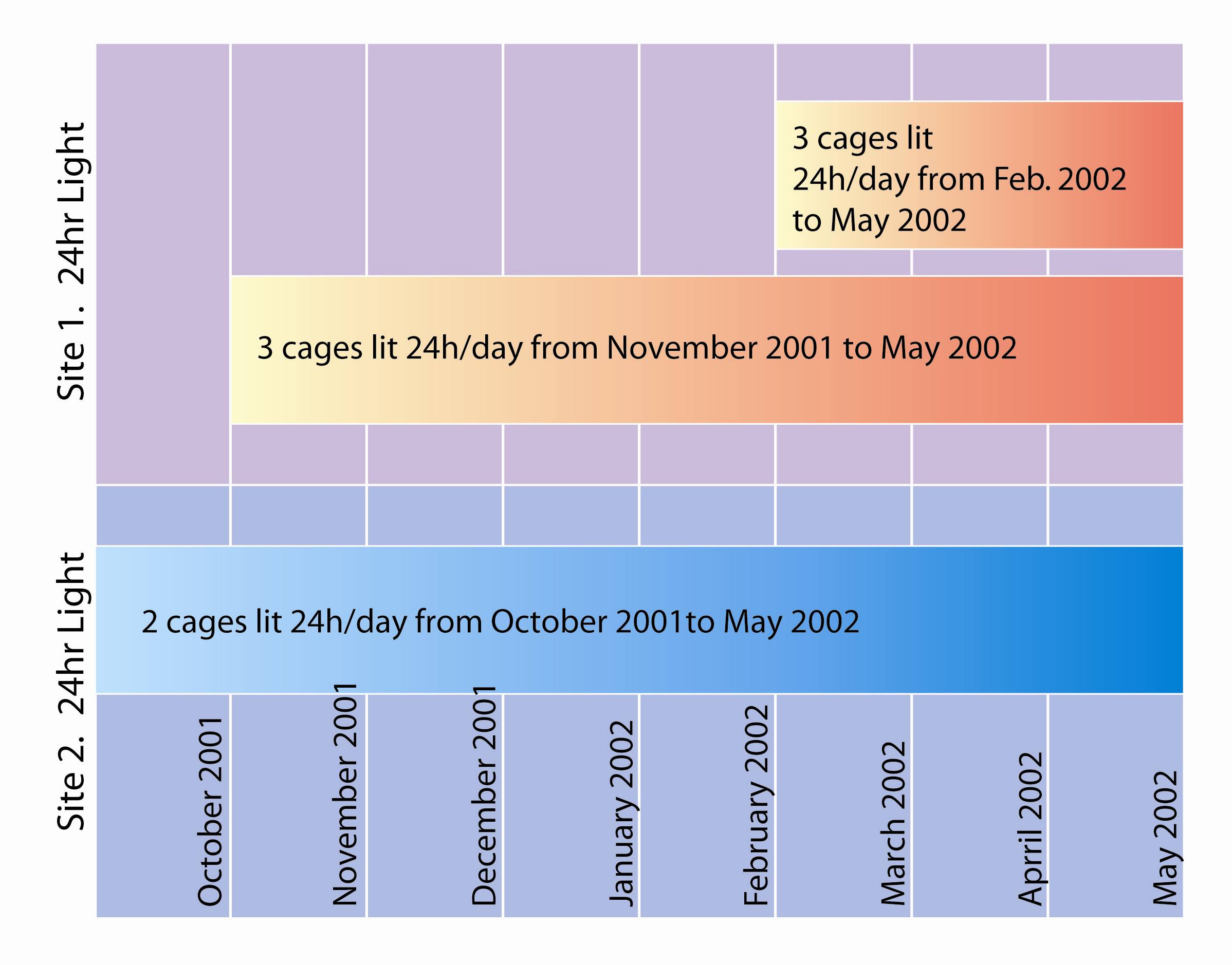 Time line indicating number of months which study cages were exposed to 24 hour light.