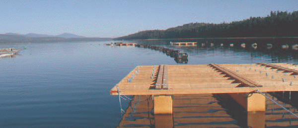 Shellfish raft aquaculture in Metcalf Bay, BC.