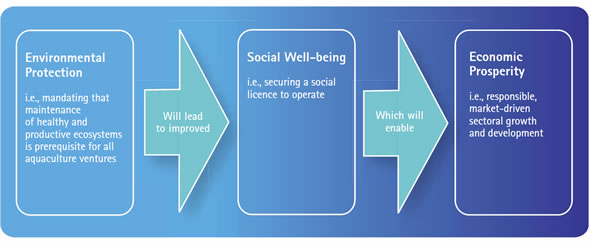 Framework to advance aquaculture based on the three principles of sustainable development.