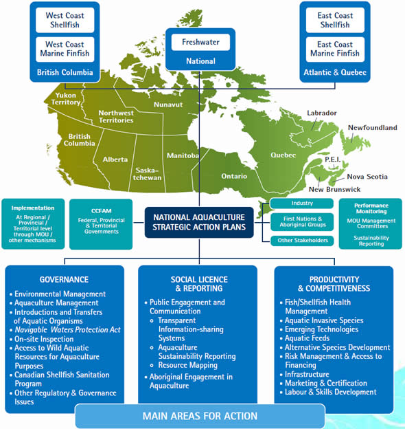 The framework of the National Aquaculture Strategic Action Plan Initiative.