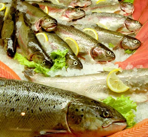 Display of fresh trout for market