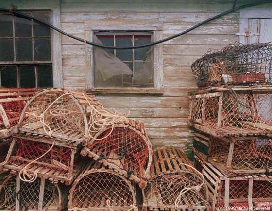 Cages à homard