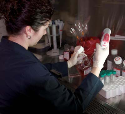 Mélanie Roy, biologiste, prépare des cellules pour la transfection