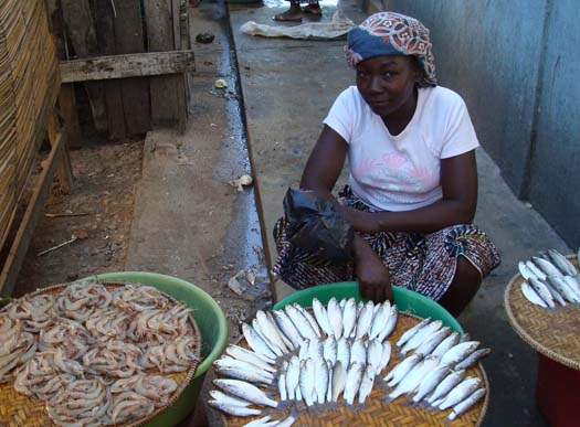 Vendeur de poissons au Mozambique