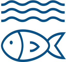 Ecosystem and fish health