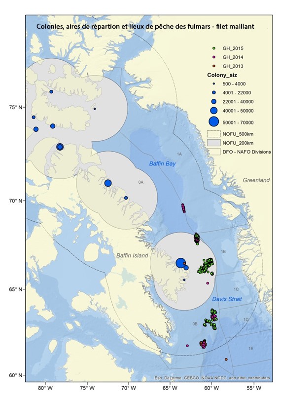 Carte illustrant le chevauchement entre les colonies de fulmars boréaux et les lieux de pêche au filet maillant