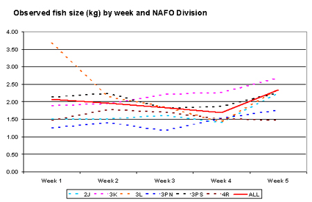 Observed fish size (kg) by week and NAFO Division