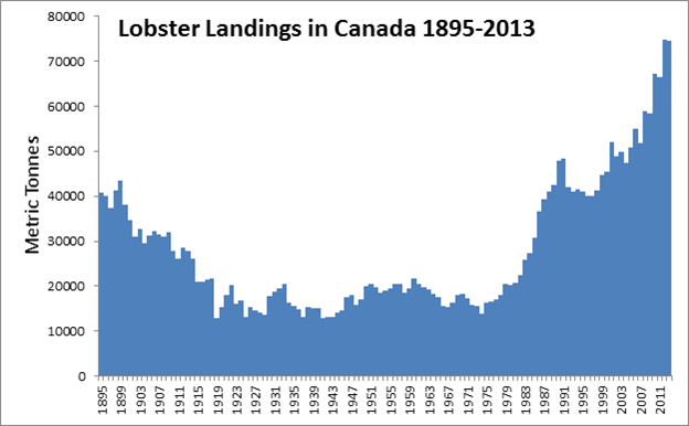 Canadian Lobster landings