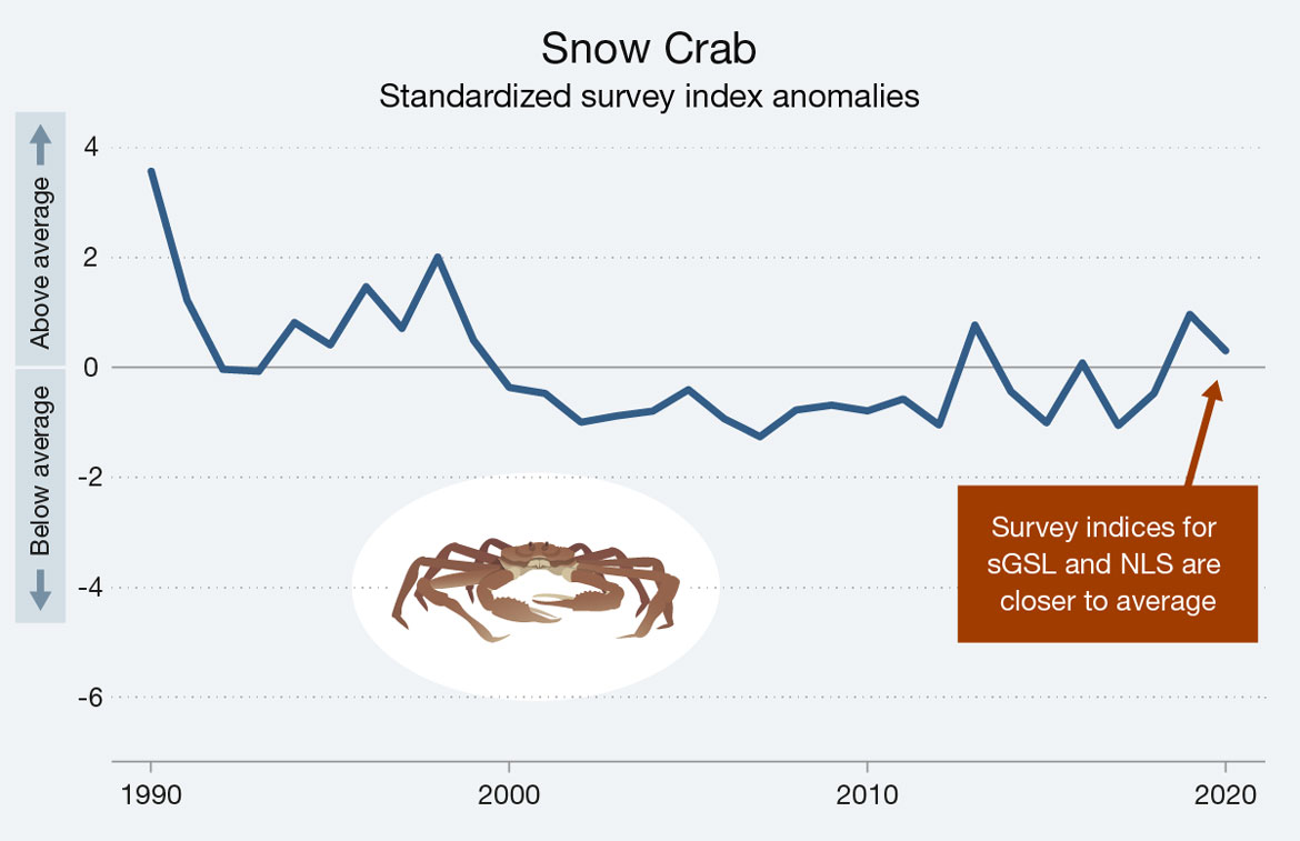 Line graph illustrating the standardized survey index anomalies for snow crab in the southern Gulf of St Lawrence and the Newfoundland and Labrador Shelves for the years 1990 to 2020. Text version below.