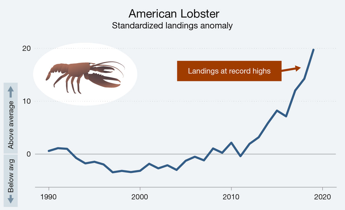 Line graph illustrating the standardized landing anomaly for American Lobster in Atlantic Canadian waters for the years 1990 to 2020. Text version below.
