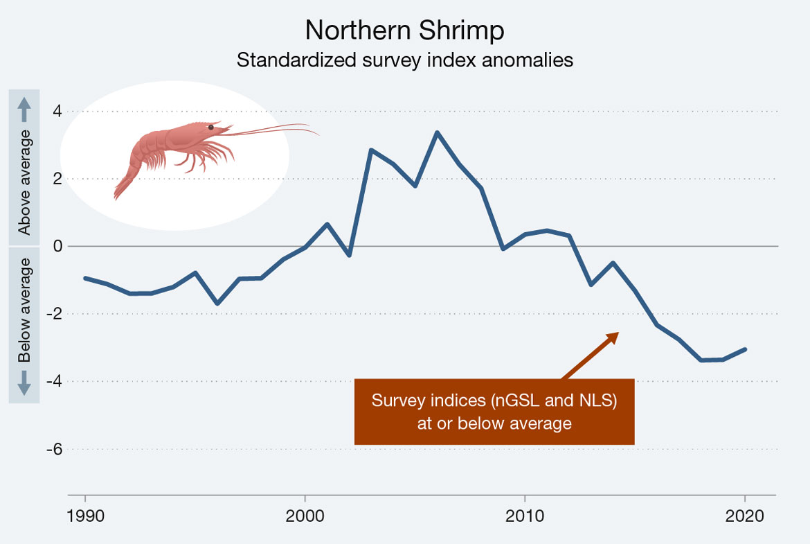 Line graph illustrating the standardized survey anomalies for Northern shrimp in the northern Gulf of St Lawrence and the Newfoundland and Labrador Shelves for the years 1990 to 2020. Text version below.