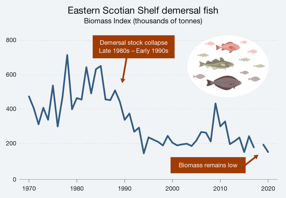Line graph illustrating the eastern Scotian shelf demersal fish biomass index for the years 1970 to 2020. Text version below.