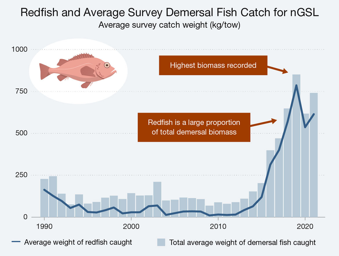 Line and bar graph illustrating redfish and total survey demersal fish catch in the northern Gulf of St. Lawrence for the years 1990 to 2020. Text version below.