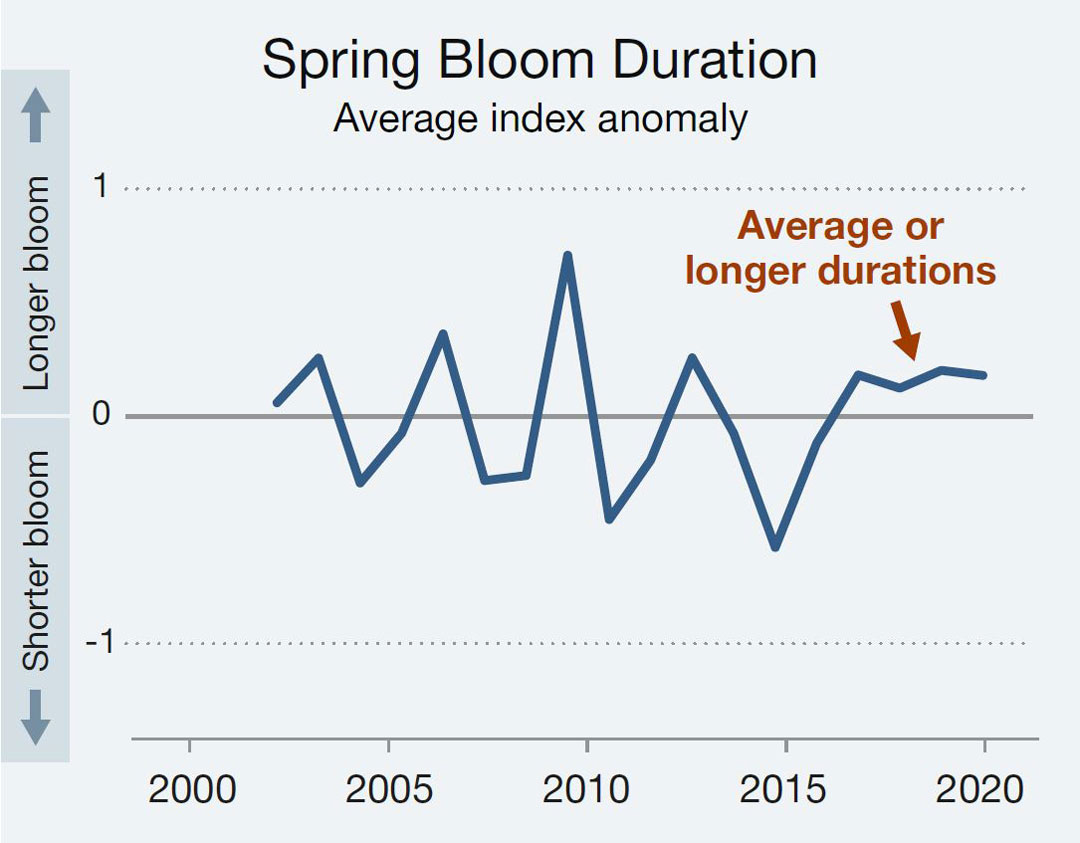 Line graph illustrating the average index anomaly for phytoplankton spring bloom duration in Atlantic Canadian waters for the years 2003 to 2020. Text version below.