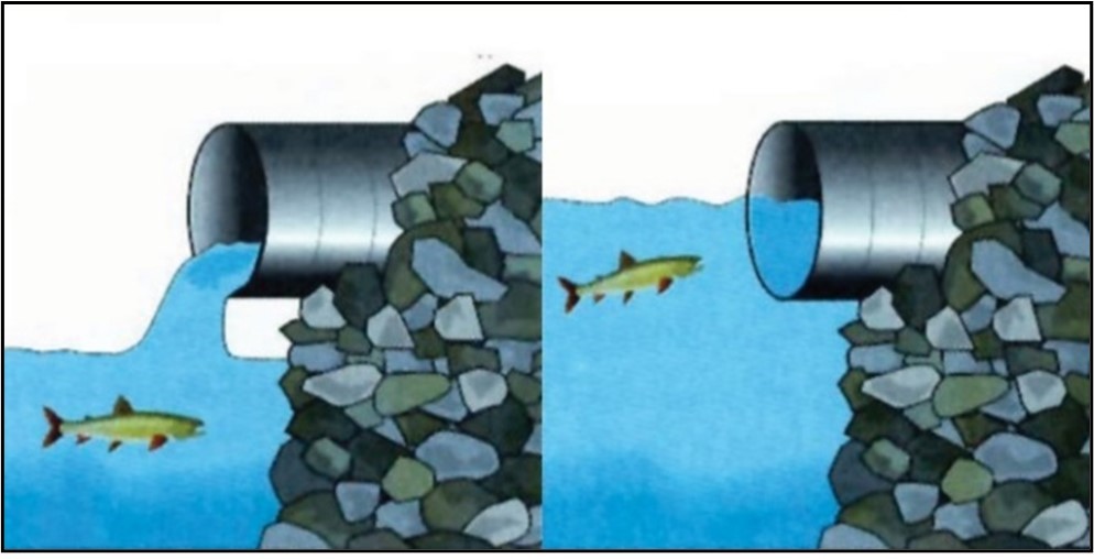 L'illustration montre comment un poisson ne peut pas entrer dans un ponceau surélevé, mais pourrait nager à travers un ponceau partiellement submergé dans le ruisseau.