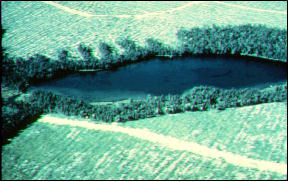 Vue aérienne du ruisseau avec bande de végétation le long de ses rives.