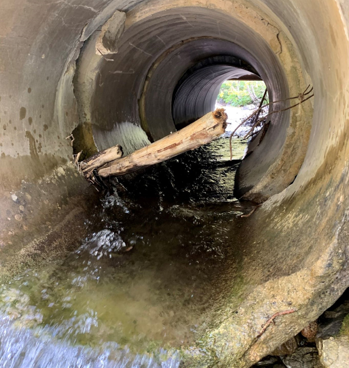 A culvert in bad condition. A damaged concrete pipe with obstructions.