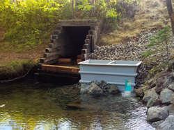 A plastic box sits in the water at the side of the stream adjacent to a wooden culvert.