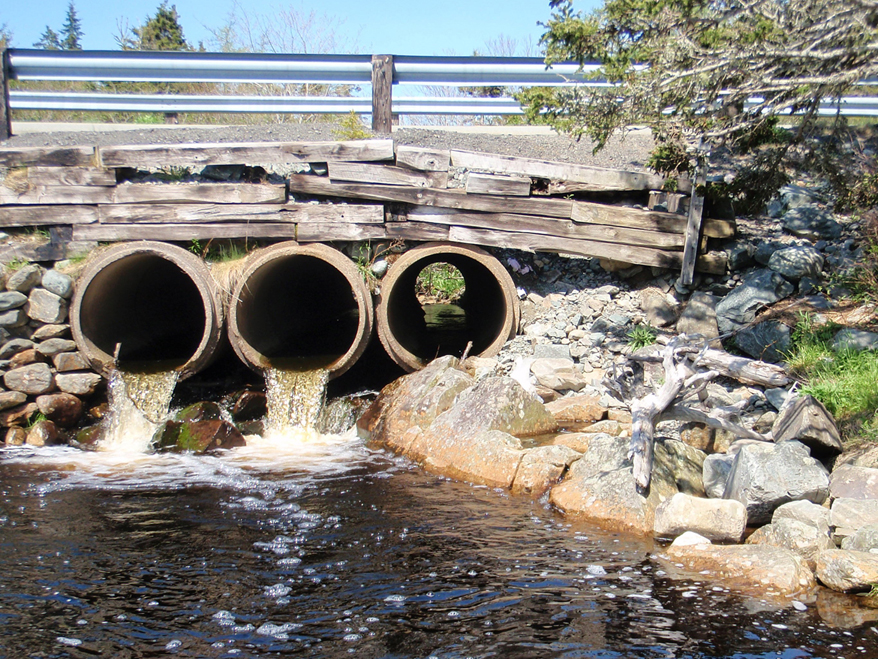 Three round culverts run under a roadway. The culverts sit above the water level of the stream.