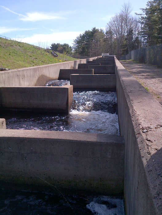 A concrete fish ladder set into a slope, with a grassy hill to the left and a pathway to the right.