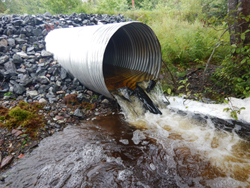 A metal culvert sits above the height of the stream. A black ramp like structure is installed on the outflow of the culvert. Water is flowing out of the culvert.