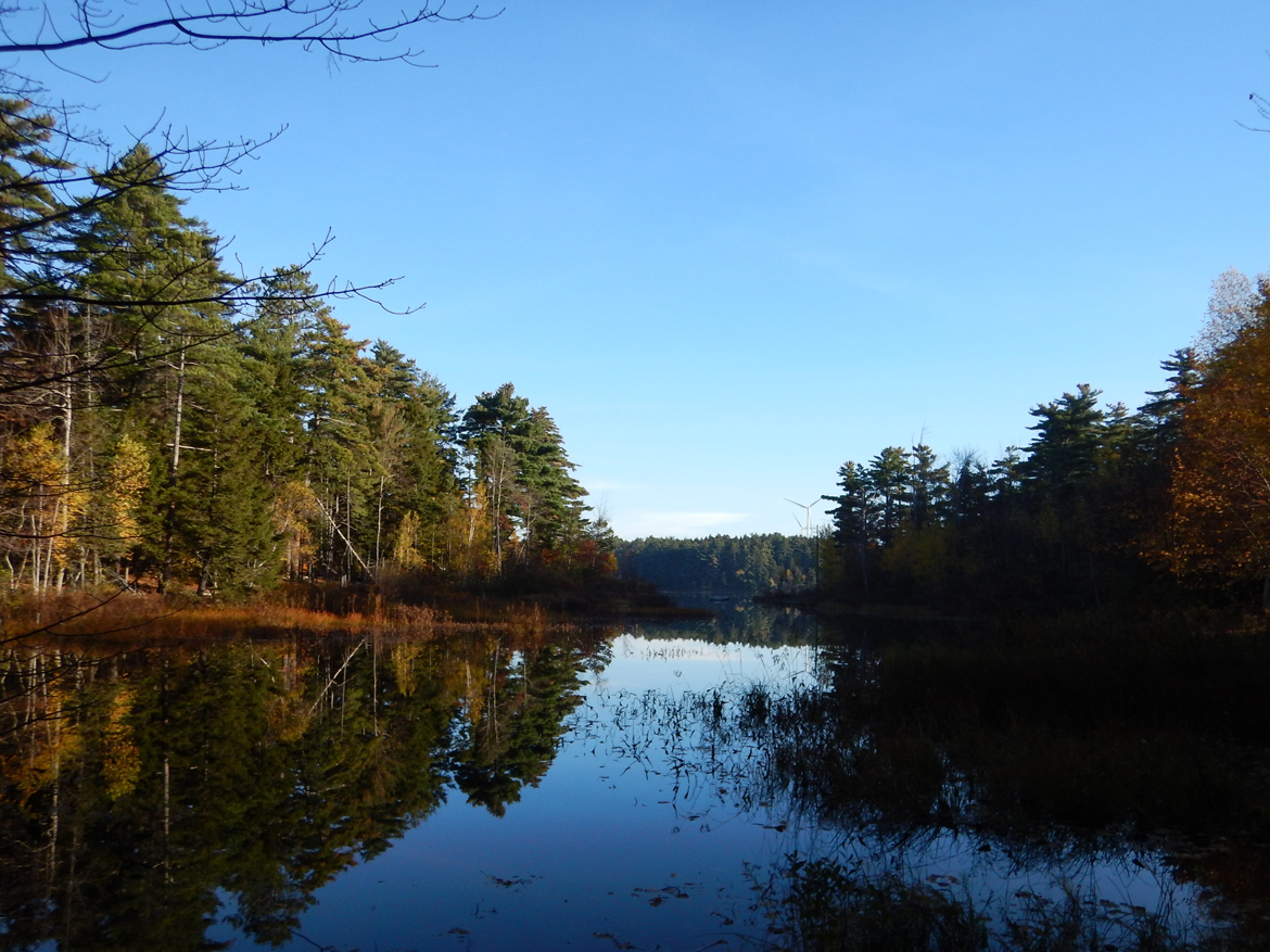 A calm lake surrounded by trees in Nova Scotia. The trees are reflected in the lake.