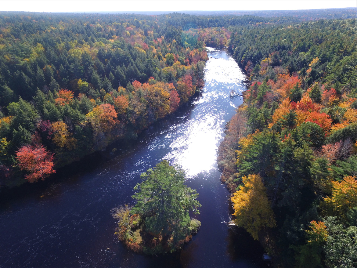 An overhead view of a river in fall. The river reflects the sunlight, and the surrounding trees are a mix of green, red, yellow and orange.