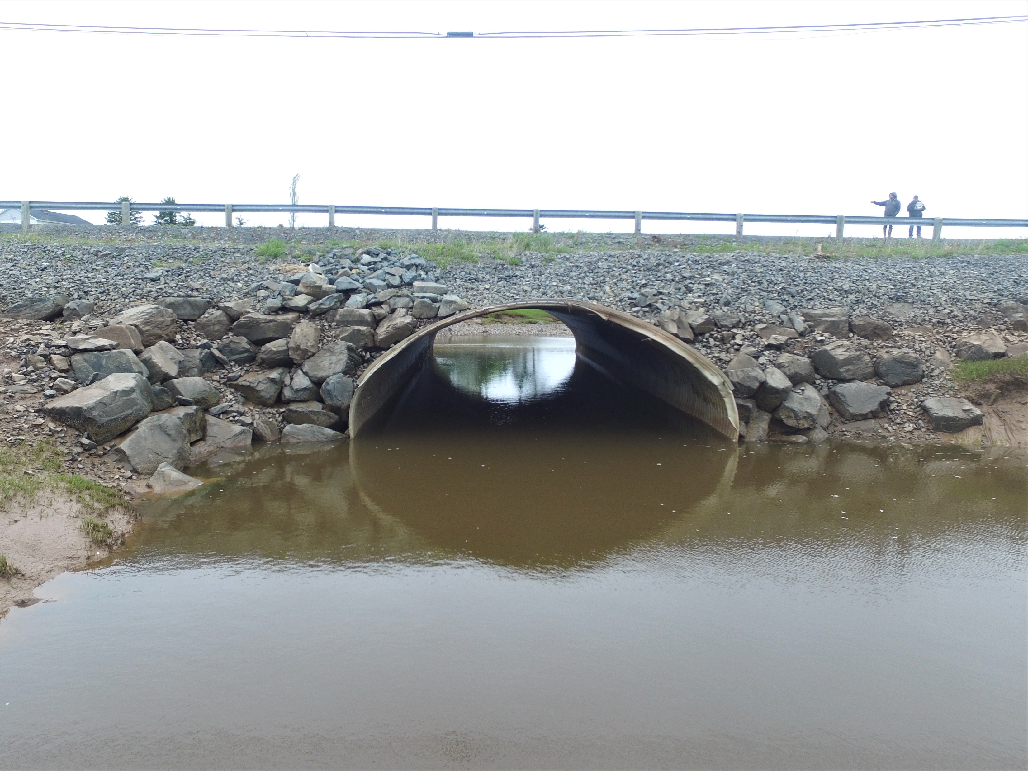 A large elliptical-shaped culvert under a road. There are large boulders on either side of the culvert.