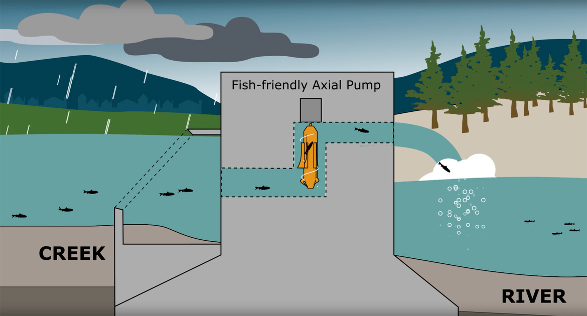 An image of a fish-friendly axial pump that regulates the flow between water in a river and a creek and allows fish passage.