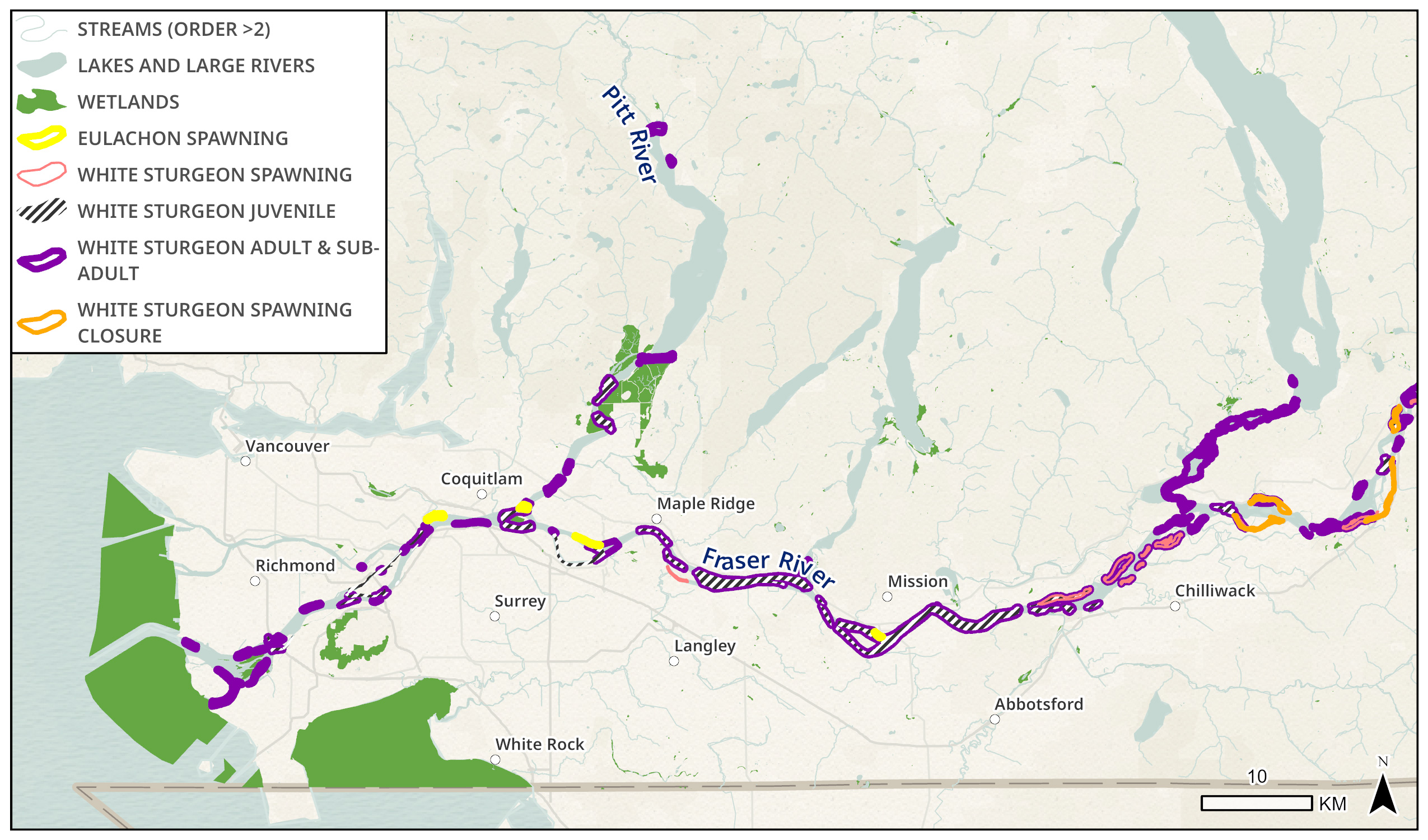 Map showing locations of critical habitat for eulachon and white sturgeon in the Lower Fraser, with shaded areas representing habitats for each species and various cities and towns in the region.