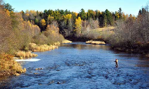 Les eaux de la rivière Miramichi, au Nouveau-Brunswick, sont un endroit idéal pour la pêche récréative au saumon. © MPO Golfe.
