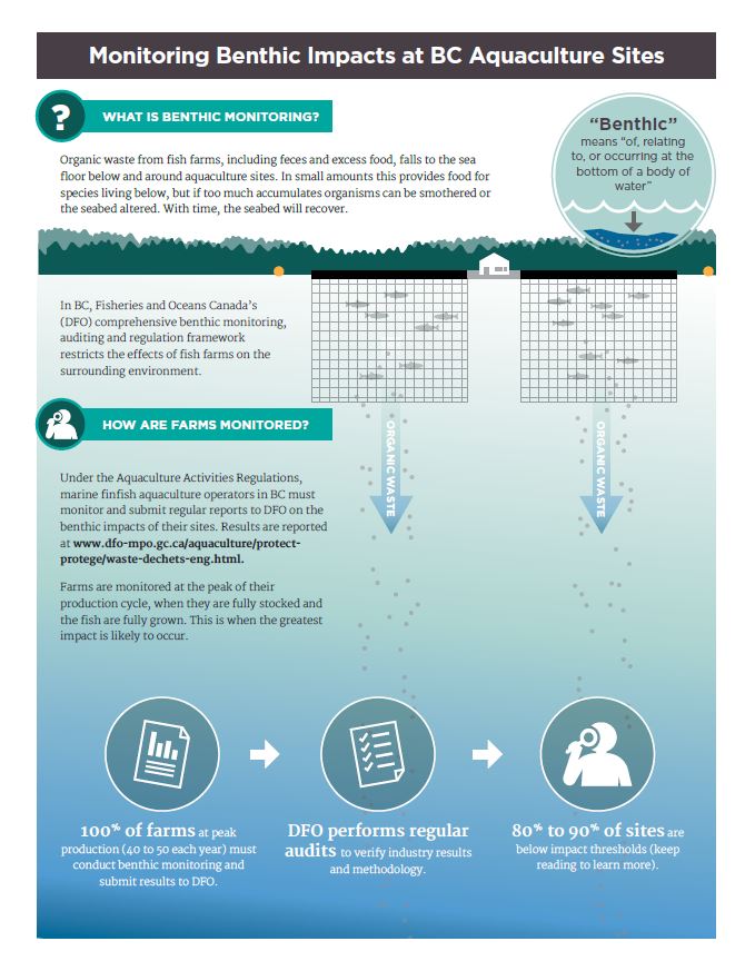 Infographic: Monitoring benthic impacts at BC aquaculture sites