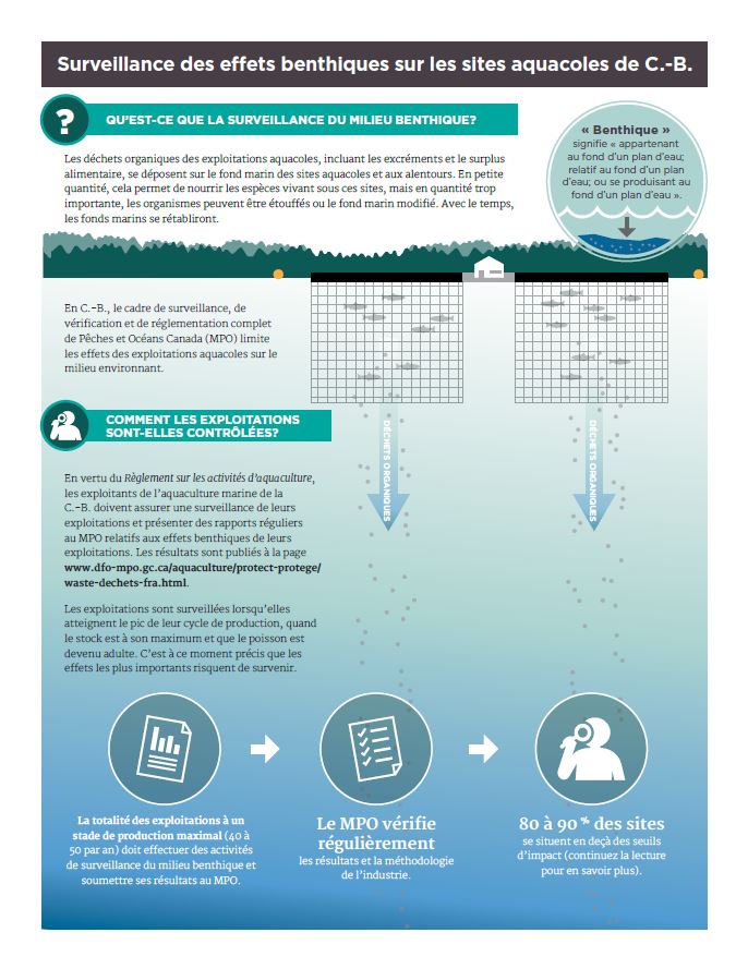 Infographie : Surveillance des effets benthiques sur les sites aquacoles de C.-B.