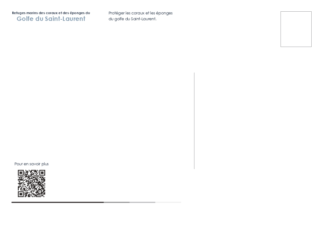 Infographie : Carte postale des refuges marins coraux et des éponges verso