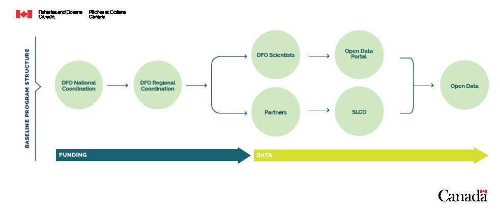 A flow chart describes the program structure and the steps to achieve open data. The first 2 steps in the chart, which are part of the funding structure, are DFO national and regional coordination. Subsequently, DFO scientists publish their data to the Open Data portal and partners publish their data to the St. Lawrence Global Observatory (SLGO). These steps eventually lead to the generation of open data for the program.