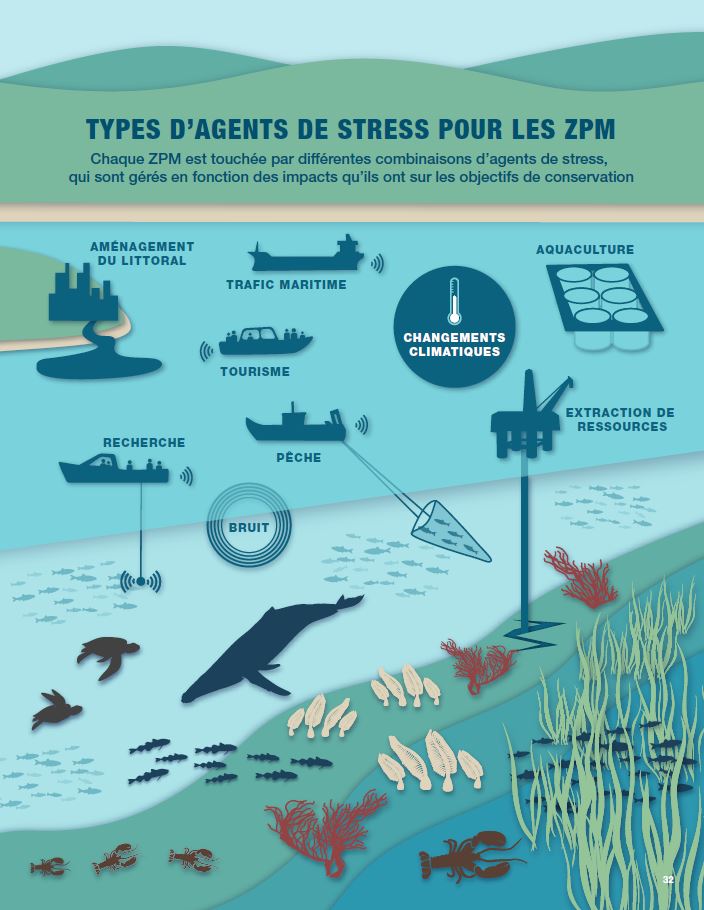 Infographie : Types de facteurs de stress des ZPM