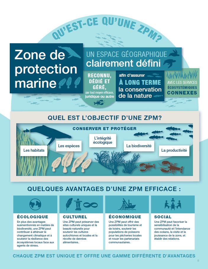 Infographie : Qu'est-ce qu'une ZPM en vertu de la Loi sur les océans?