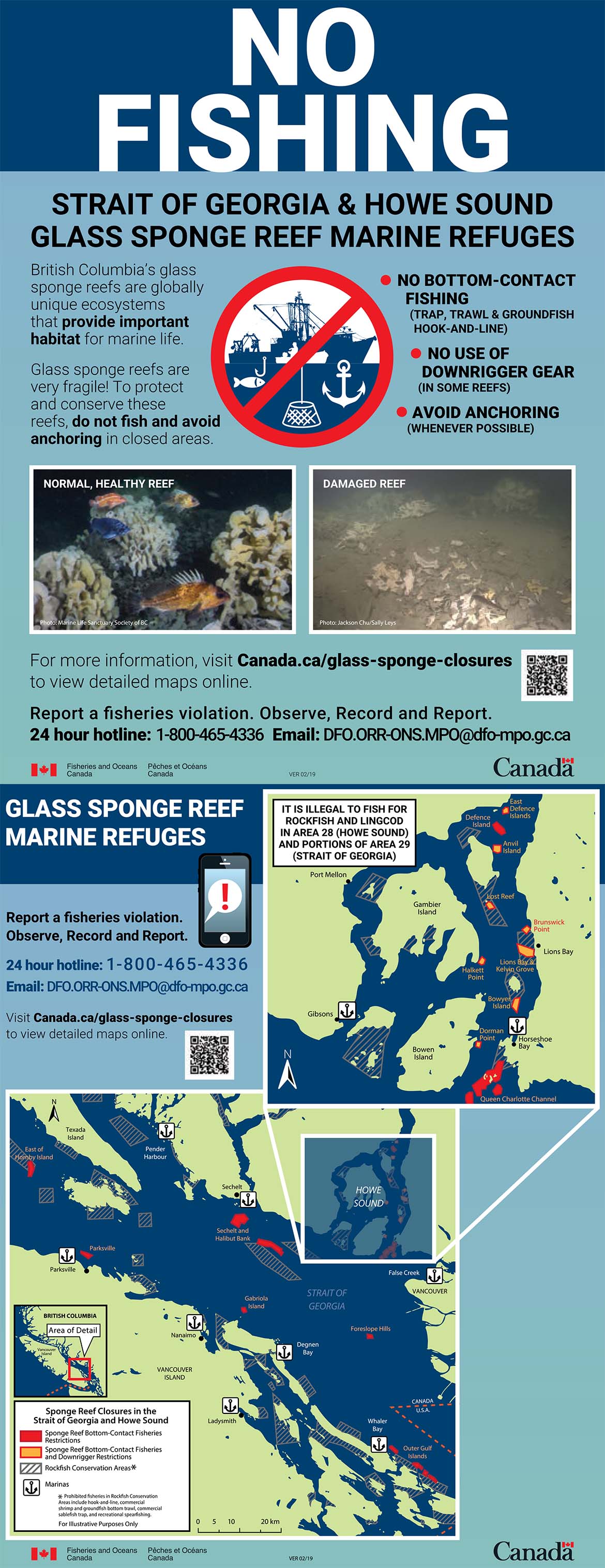 Infographic: No fishing in Glass Sponge Reef Marine Refuges 