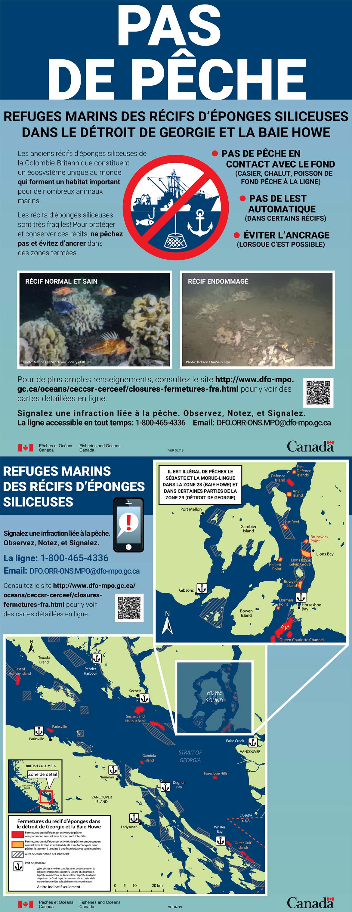 Infographie : Pas de pêche dans les refuges marins des récifs d'éponges siliceuses