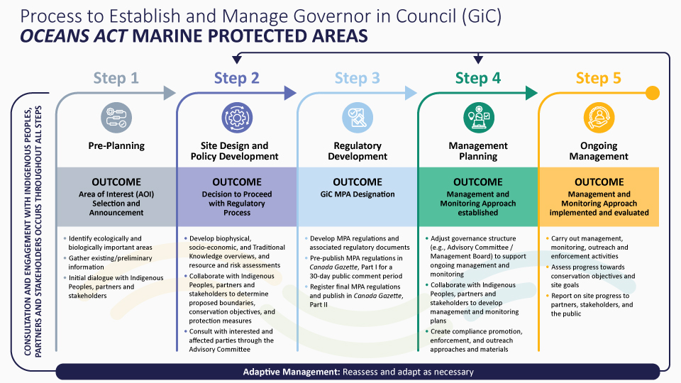 Infographic: Process to establish and manage Governor in Council (GiC): Oceans Act Marine Protected Areas
