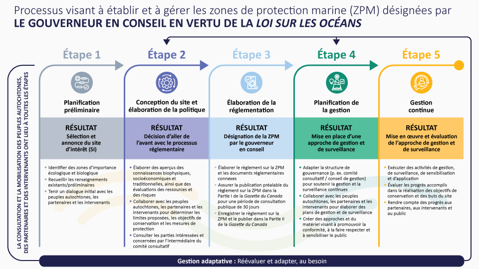 Infographie : Processus visant à établir et à gérer les zones de protection marine (ZPM) désignées par le gouverneur en conseil en vertu de la Loi sur les océans