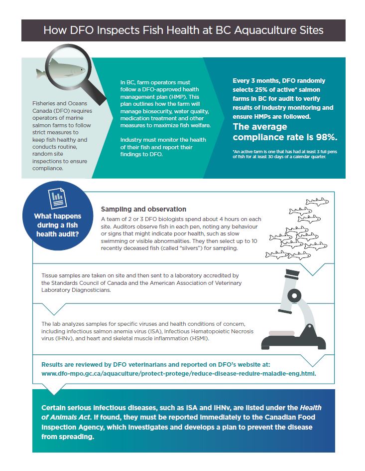 Infographic: How DFO inspects fish health at BC aquaculture sites