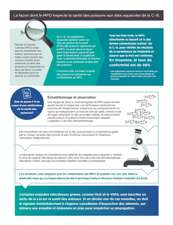 Infographie : La façon dont le MPO inspecte la santé des poissons aux sites aquacoles de la C.-B.