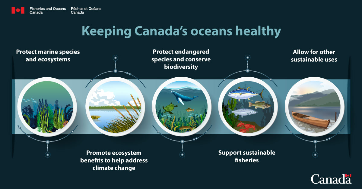 Keeping Canada's oceans healthy