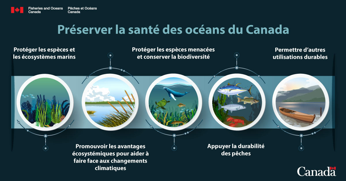 Infographie : Préserver la santé des océans du Canada<